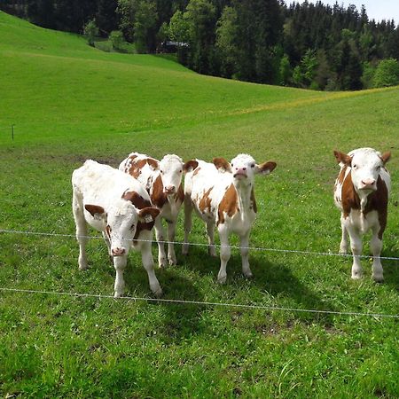 Bio-Bauernhof Niederlehen Villa Файбербрун Екстериор снимка